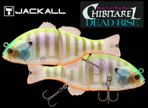 JACKALL Chibitarel Deadrise Chart Back Blue Gill
