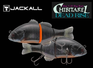 JACKALL Chibitarel Deadrise RT Spawn DR Gill