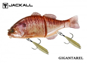 JACKALL GANTAREL KAWASHIMA ALBINO GILL