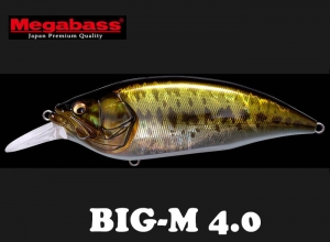 MEGABASS BIG M-4.0 EXTREME CRANK #03 GG
LARGEMOUTH (in stock)