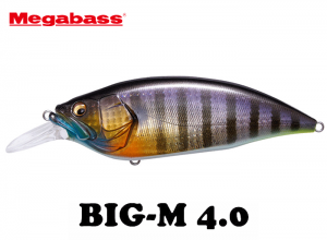 MEGABASS BIG M-4.0 EXTREME CRANK #04 GG WILD GILL BM (in stock)