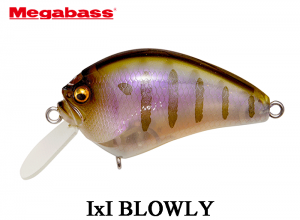 MEGABASS I x I BLOWLY #05 Gillkko (In stock)