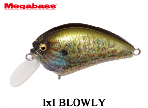 MEGABASS I x I BLOWLY #02 Pumpkin Seed