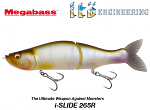 MEGABASS i-SLIDE 265 R #03 HASU (in stock)