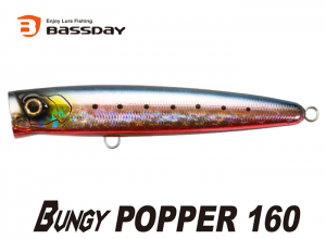 Bassday Bungy Popper 160 CH-71 Wounded Sardine