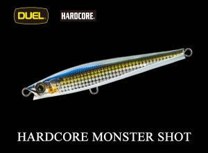 DUEL HARDCORE MONSTER SHOT 110 HKS