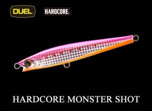 DUEL HARDCORE MONSTER SHOT 110 HPI