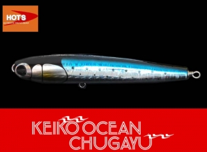 Hots Keiko Ocean Chugayu 225 Holo Sardine (ASK / Available by request)