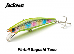 Jackson Pintail Sagoshi Tune 28g CCN (in stock)