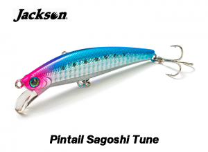Jackson Pintail Sagoshi Tune 28g NGR (in stock)