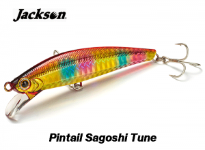Jackson Pintail Sagoshi Tune 28g NSG (in stock)