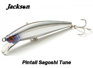 Jackson Pintail Sagoshi Tune 28g SGE (in stock)