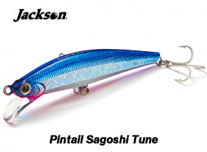 Jackson Pintail Sagoshi Tune 28g SKN (in stock)