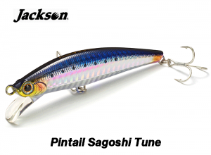 Jackson Pintail Sagoshi Tune 28g SNI (in stock)