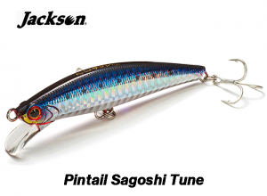 Jackson Pintail Sagoshi Tune 28g SRI (in stock)