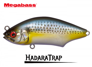 MEGABASS HADARA TRAP #03 GG Konoshiro (in stock)