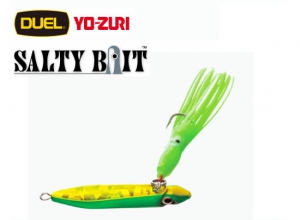 終了DUEL SALTY BAIT 100g-CHGM