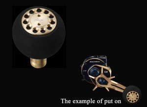 Option-3 SO 21SG RCS Power Light L GD Knob
