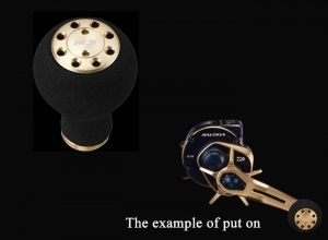 Option-3 SO 21SG RCS Power Light M GD Knob