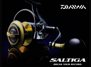 2020 DAIWA SALTIGA 8000-H