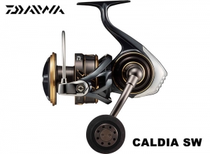 2023 DAIWA CALDIA SW 10000-P (Shipping is required)