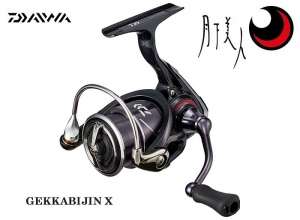2020 DAIWA GEKKABIJIN X LT2000S-P