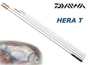 2025 DAIWA HERA T 8 (Limited-Quantity Item) (Shipping is required)Sep.Debut