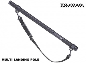 DAIWA 2024 MULTI LANDING POLE 300 (Shipping is required)